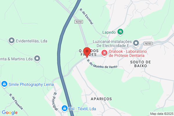 Aritech Portugal-Segurania Electranica. Lda