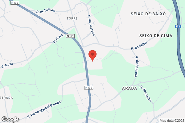 Armando Vector Oliveira Silva Lestre