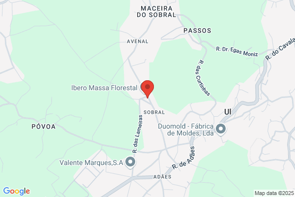 Rancho Folclco De Santiago De Rebordü