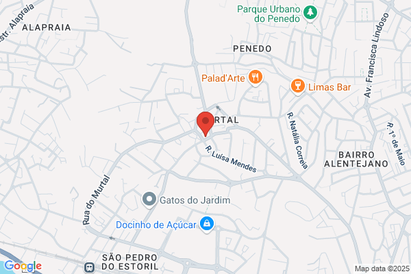 Antique-Sociedade De Antiguidades. Lda