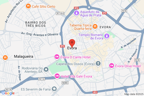 Deolinda F F Silva Peixoto