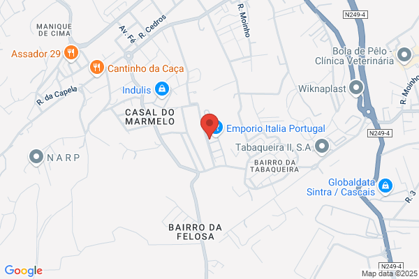Surfl ndia-Importaiao E Exportaiao. Lda