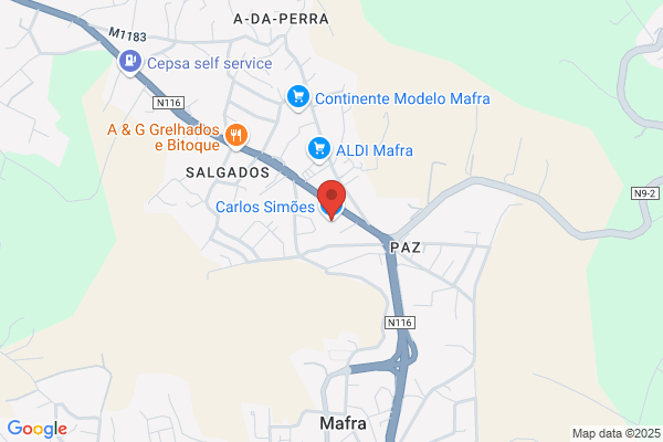 Carlos Simåes. Lda