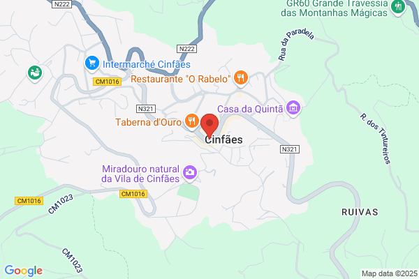 Município De Cinfães
