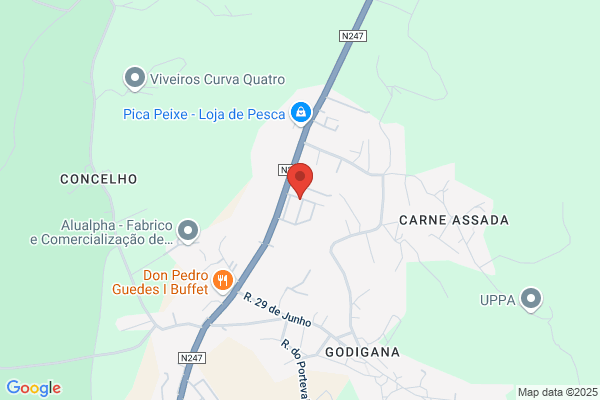 Eduardo M Coelho Grego
