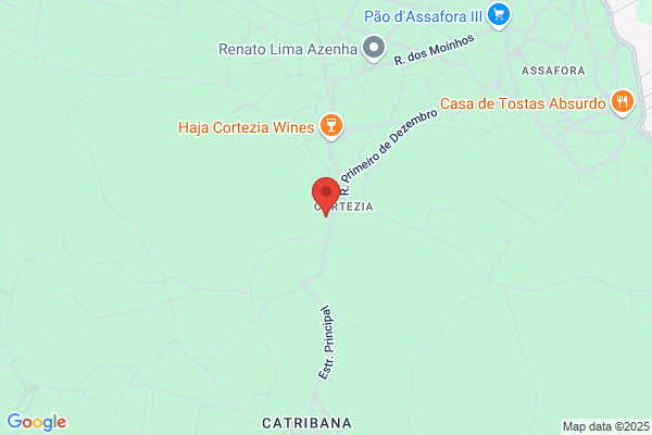 Emio Duarte Timo