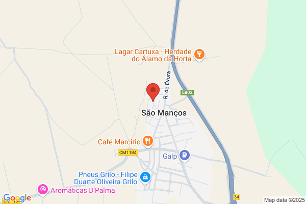 Anto Manuel Silva