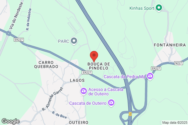 Bosch Car Service Auto Pinho