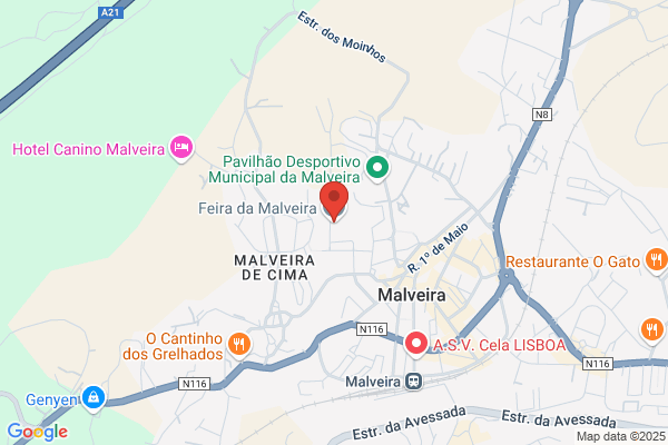 Rosalia Maria Filipe Henriques