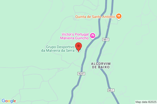 Delfina M V G Teixeira Tamulonis