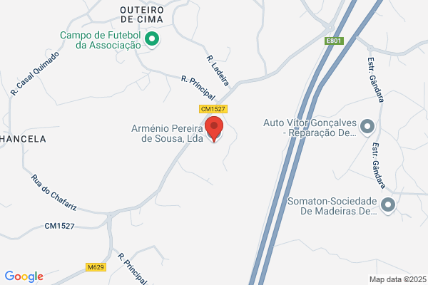 Arméo M Sousa Pinto