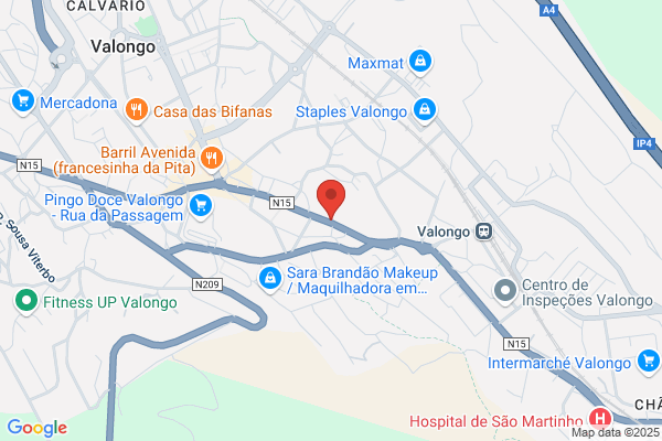 Isabel Santos