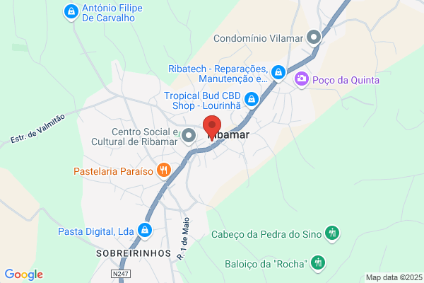 Emio J Ginja Jorge