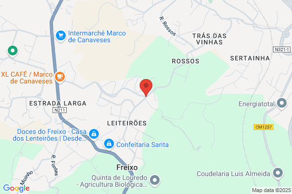 Antanio Joaquim Dos Santos Leal