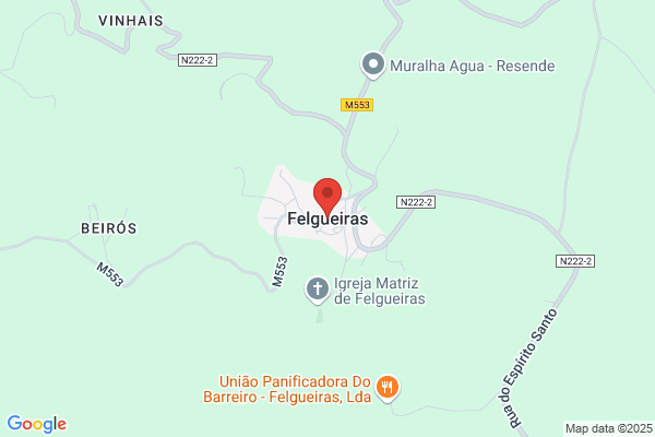 Maria R F Silva Queirós