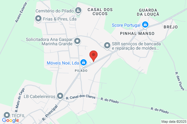 Alexandre P Vilar Matias