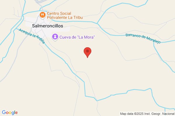 Salàromicel