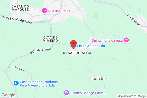 Fialho & Costa. Lda