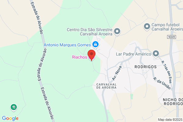 Fima M Rodrigues Salvador