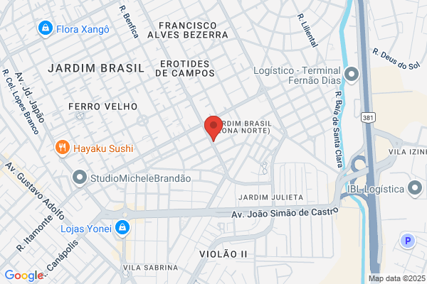 Isabel M Santos Mendes