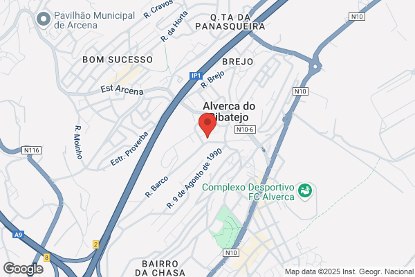 Ana P G Dias Realista