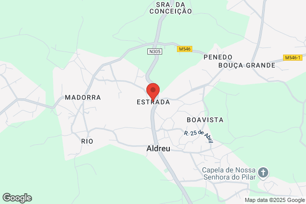 Maria G N Ribeiro Miranda