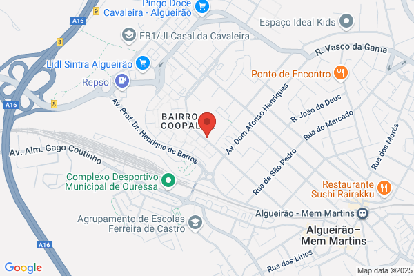 Carla S R C Correia Mendes