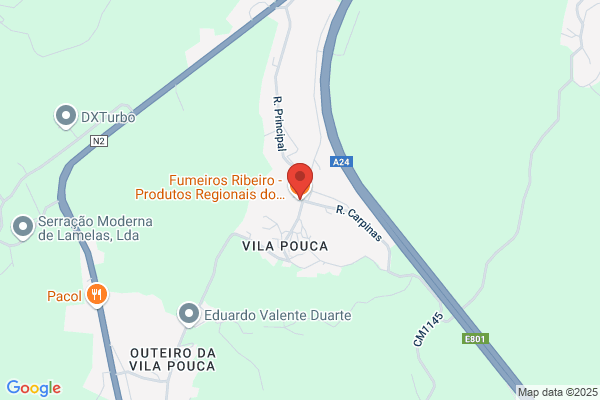 Lucília F Ribeiro Monteiro