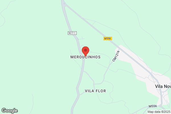 António C S Dinis Melo