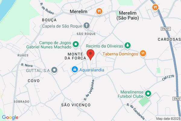 Domingos M Barbosa Silva