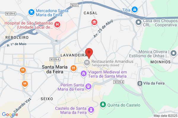 Catarina M Ferreira Norte