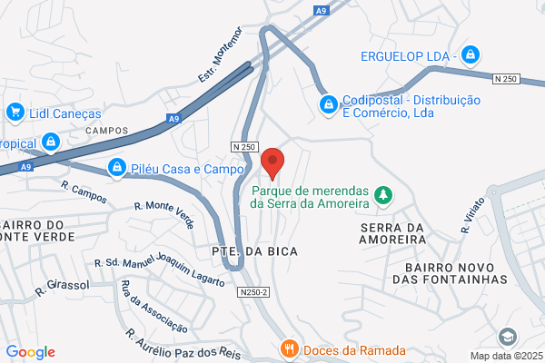 Fòica De Mis Irmó Neto Lda
