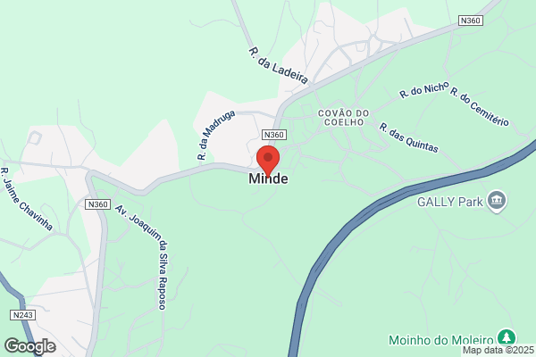 Vetor Manuel Pereira Coentro