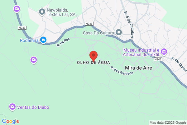 Olho De Gato Lda