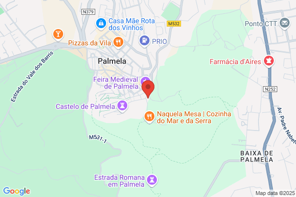 Jardins E Manutenï Arnaldo Almeida