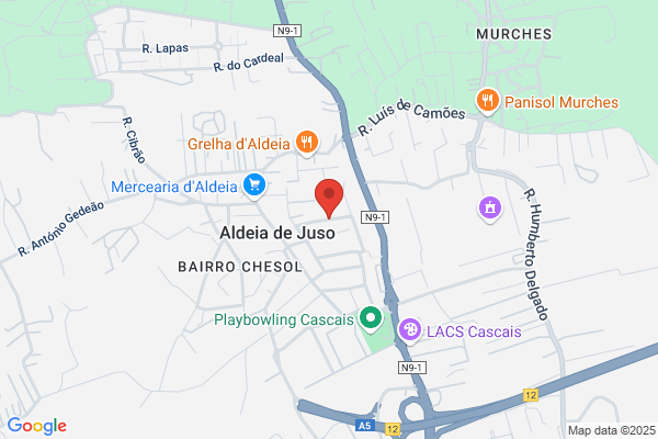 Ca Inc-Sucursal Em Portugal