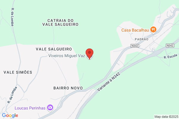 Lucia M Carvalho Bem-Haja