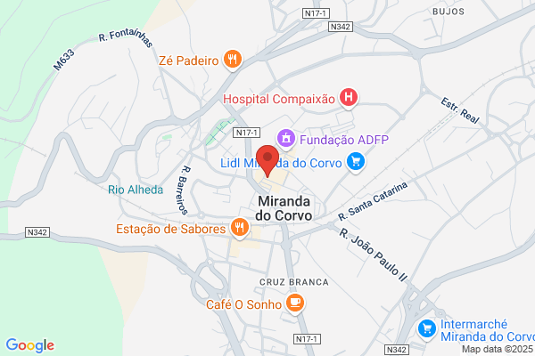 M Fátima F Acúrcio Pires