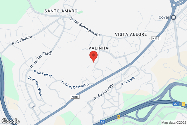 Avelino J Costa Marques