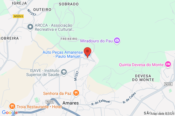 Emanuel L Morais Antunes