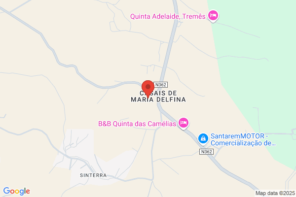 Maria Jose Ribeiro Esteves Coelho
