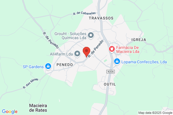 F Ribeiro Da Costa