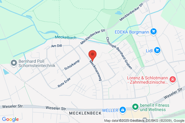 Maria Aparecida Armendane