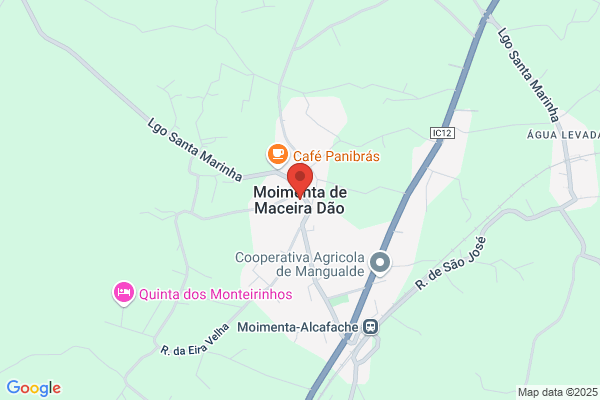 Ana J Alves Almeida