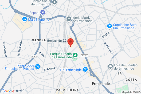 Halcon Viagens-Ermesinde