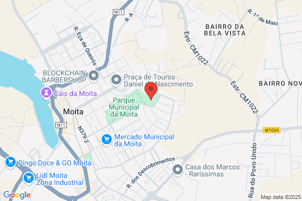 Téa T Carros Mineiro