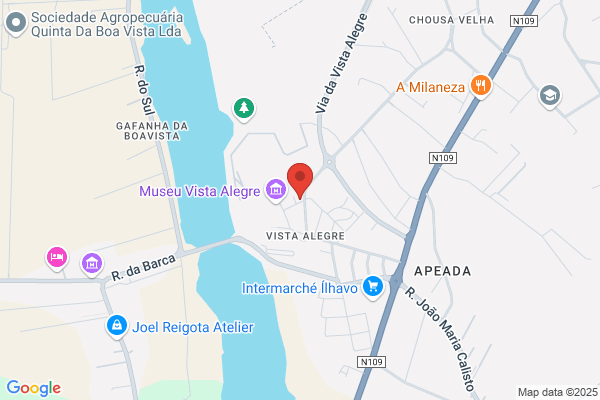 Galerias Leal Pinheiro-Comãio De Mis Lda