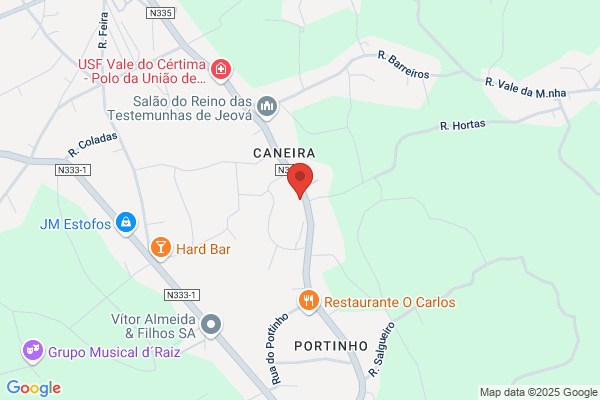 Rosa F Fonseca Salgueiro