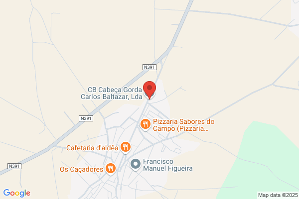Carlos Baltazar Furtado Guerreiro Lda