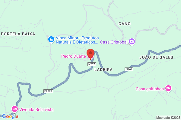Paulo A Duarte Rosa